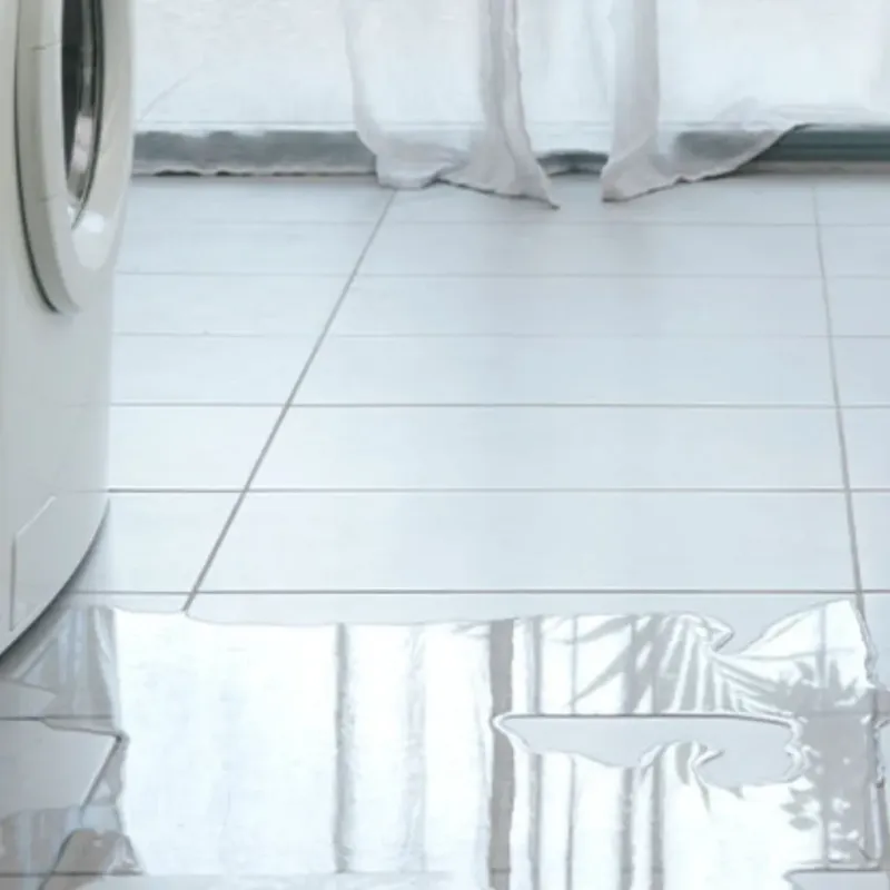 Appliance Leak Cleanup in Roscoe, TX