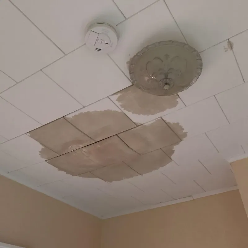 Ceiling Water Damage Repair in Roscoe, TX