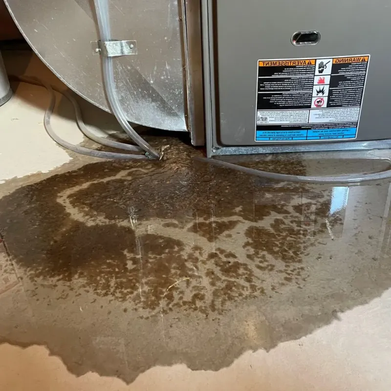 Pipe Burst and Leak Restoration in Roscoe, TX