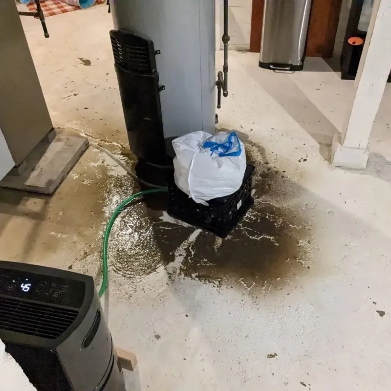 Sewage Backup Cleanup Service in Roscoe, TX